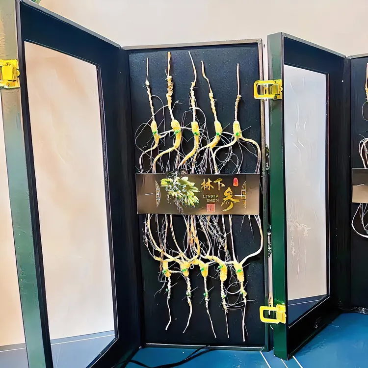 长白山人参礼盒 林下籽参 于鲤堂干人参礼盒装整支滋补 煲汤泡水