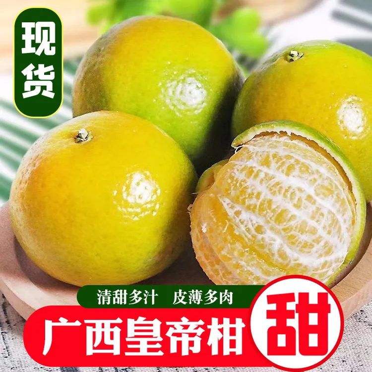 正宗广西皇帝柑贡柑新鲜水果产地直发纯甜无酸大果5/9斤清甜多汁