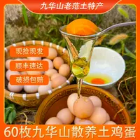 甄选60枚农家散养初生蛋高山五谷喂养新鲜土鸡蛋高品质磷脂营养蛋