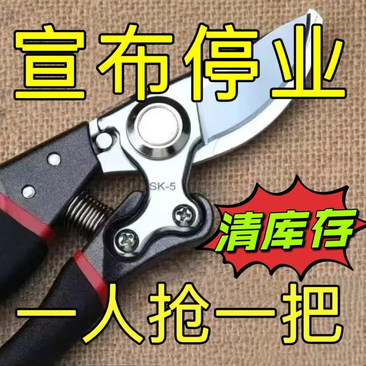 家用果树剪刀修枝神器剪花卉摘果剪树枝剪刀绿化嫁接剪枝园艺剪刀