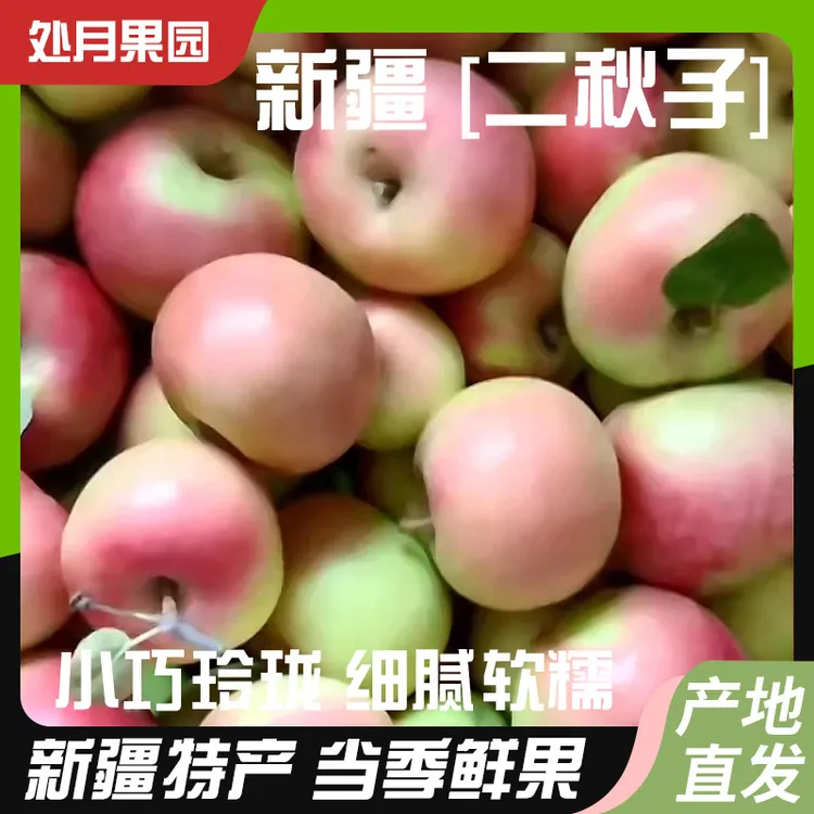 正宗新疆奇台县秋丽梦快递新鲜水果原生态二秋子整箱芳香四溢细腻