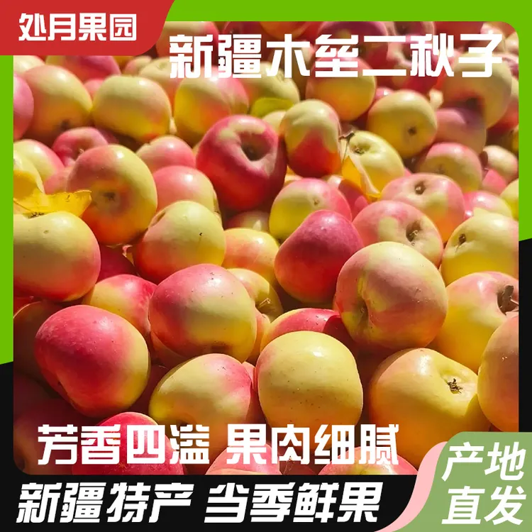 正宗新疆木垒县秋丽梦酸甜新鲜水果原生态二秋子整箱芳香四溢细腻