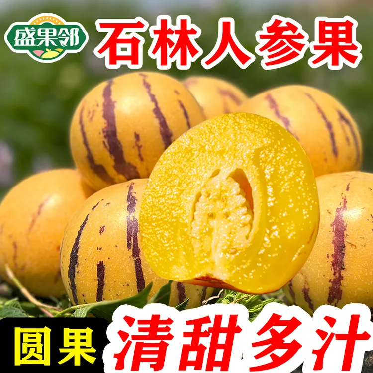 盛果邻 云南石林人参果树上熟圆果黄心精选大果当季新鲜水果整箱