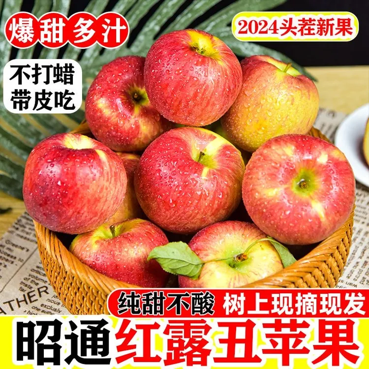 【现摘现发】2024年云南昭通苹果冰糖心脆甜多汁红露丑苹果纯甜无酸