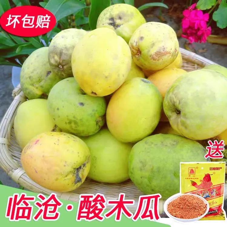 酸木瓜5斤云南特产新鲜水果生吃酸脆腌制泡酒顿鸡