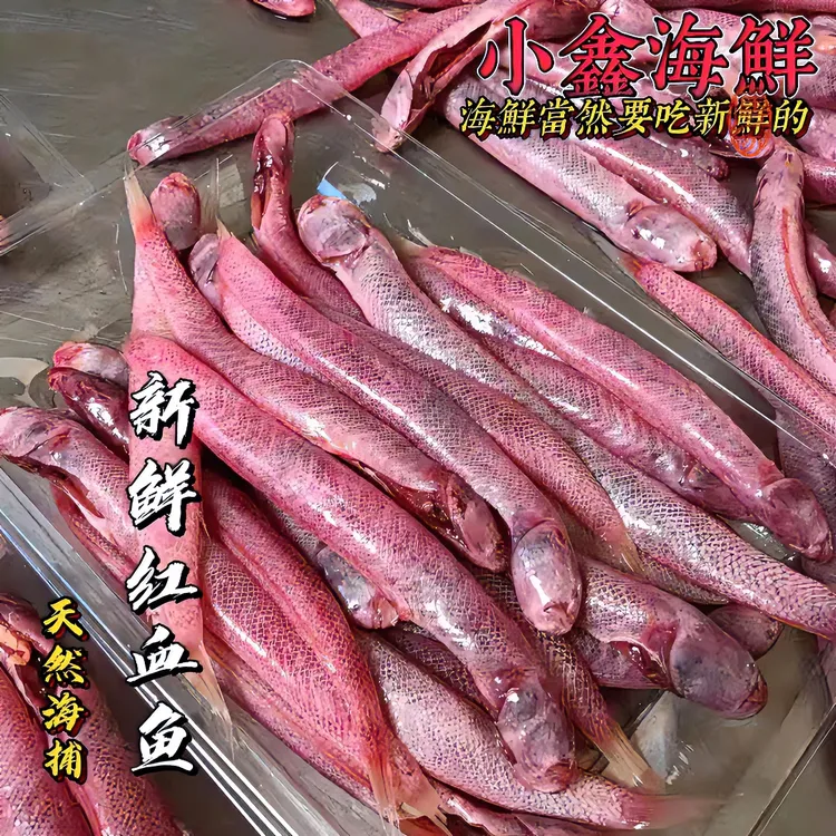 广东汕尾浅海活红血鱼流鼻血适合煮汤3斤红血鱼能治小孩流鼻血