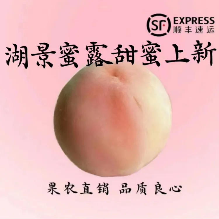 8只装【5-6两】现摘正宗无锡阳山水蜜桃甜蜜多汁新鲜水果