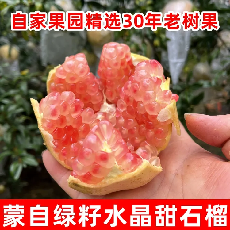云南蒙自薄皮绿籽水晶甜石榴净重9斤5斤老树石榴现摘新鲜当季水果