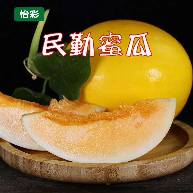 民勤沙漠蜜瓜新鲜采摘香甜多汁口感软糯3/5/8/9斤时令