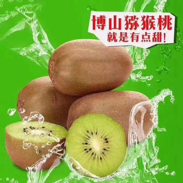 博山源泉碧玉猕猴桃澳门冠军赛赛程