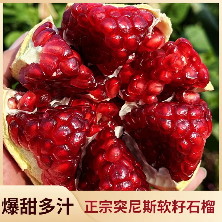 突尼斯软籽红石榴爆汁应季新鲜水果四川会理当季红宝石榴