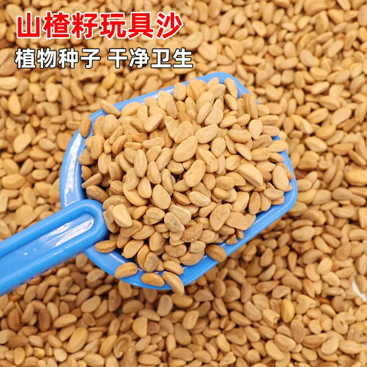 山楂籽玩具沙宝宝家用枕头决明子沙池儿童沙滩沙子沙池玩具沙子