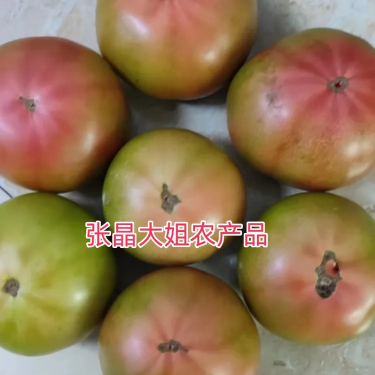 农家肥种的大馒头柿子西红柿现摘多汁沙瓢番茄一件5斤 包邮