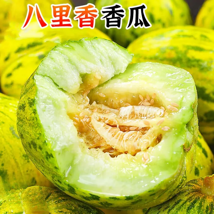 东北香瓜八里香甜瓜地产脆甜花瓜一箱包邮