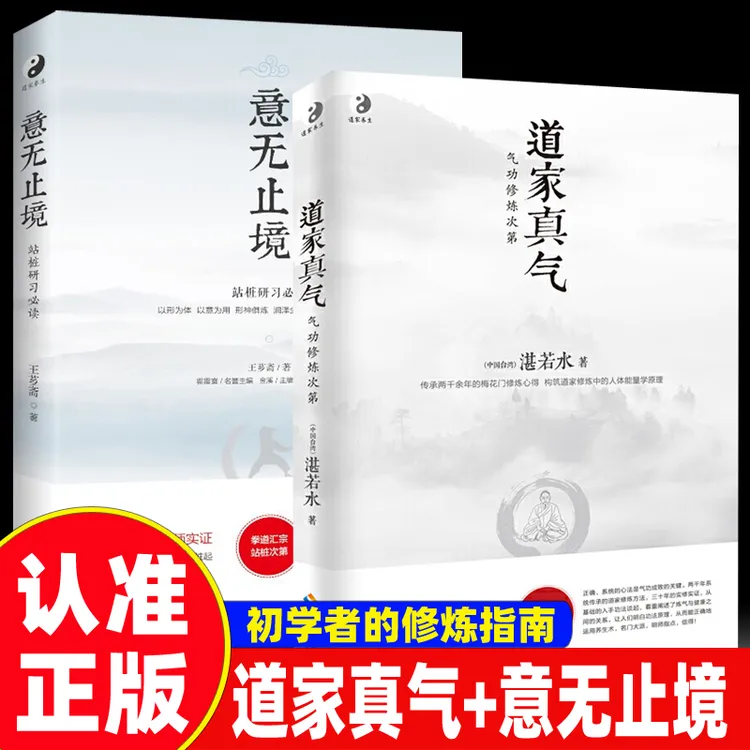 道家真气 健身气功 意无止境湛若水著初学者修炼入门指南