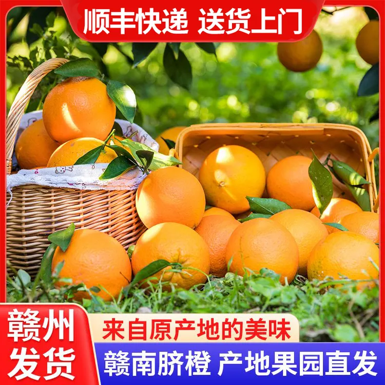 【顺丰】正宗江西赣南龙勾脐橙10斤/20斤装新鲜橙子果园现摘直发