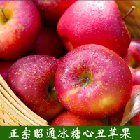 正宗云南昭通冰糖心丑苹果当季新鲜水果现摘现发5/9斤产地直发