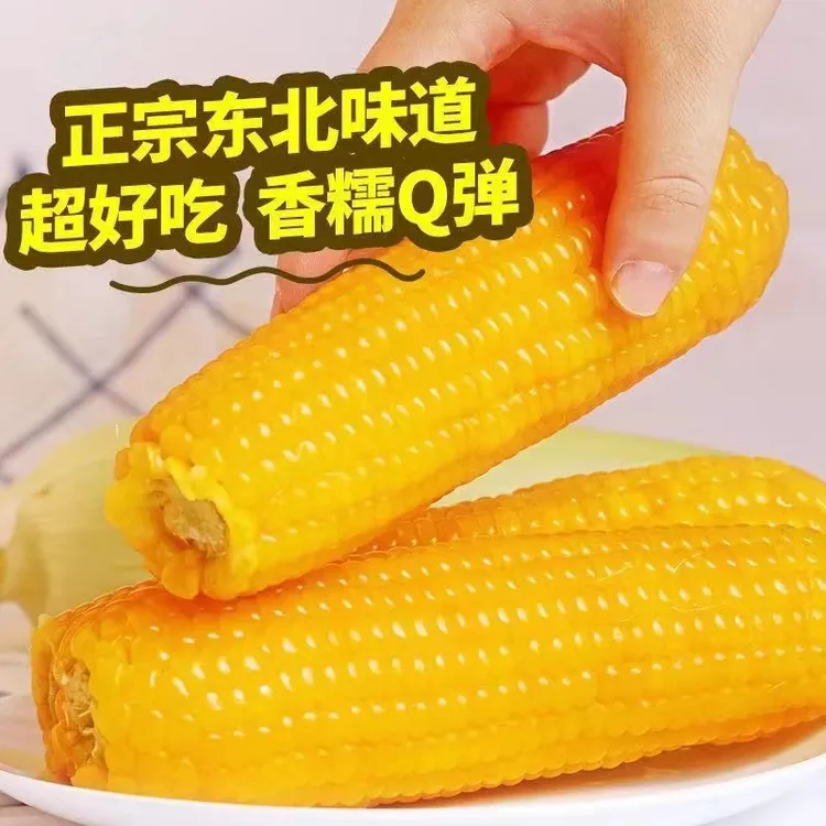 【新人专属】升级铝膜包装玉米东北黑龙江黏约 6 斤/箱试吃2根