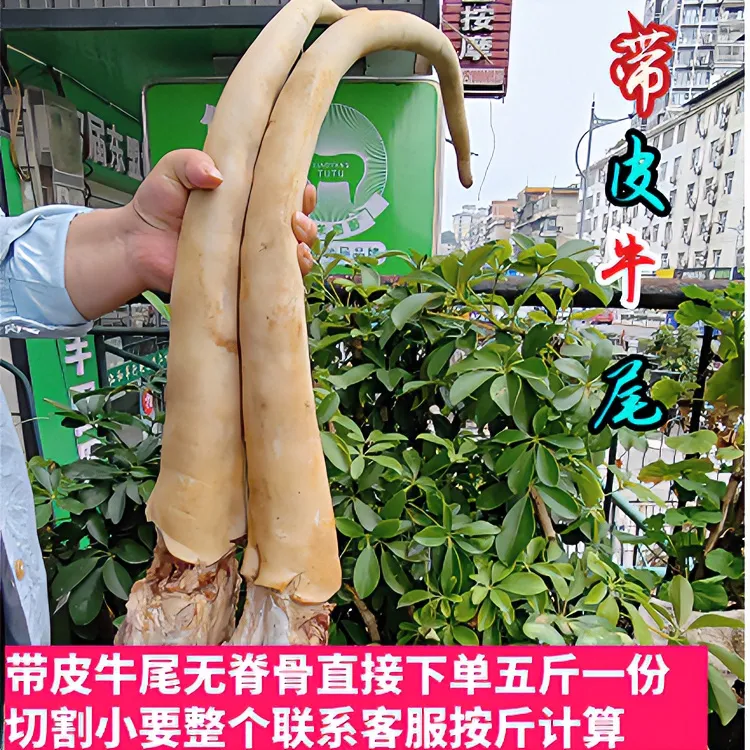 【带皮牛尾】贵州散养新鲜整根土黄牛尾带脊骨牛排骨包邮生鲜牛头肉