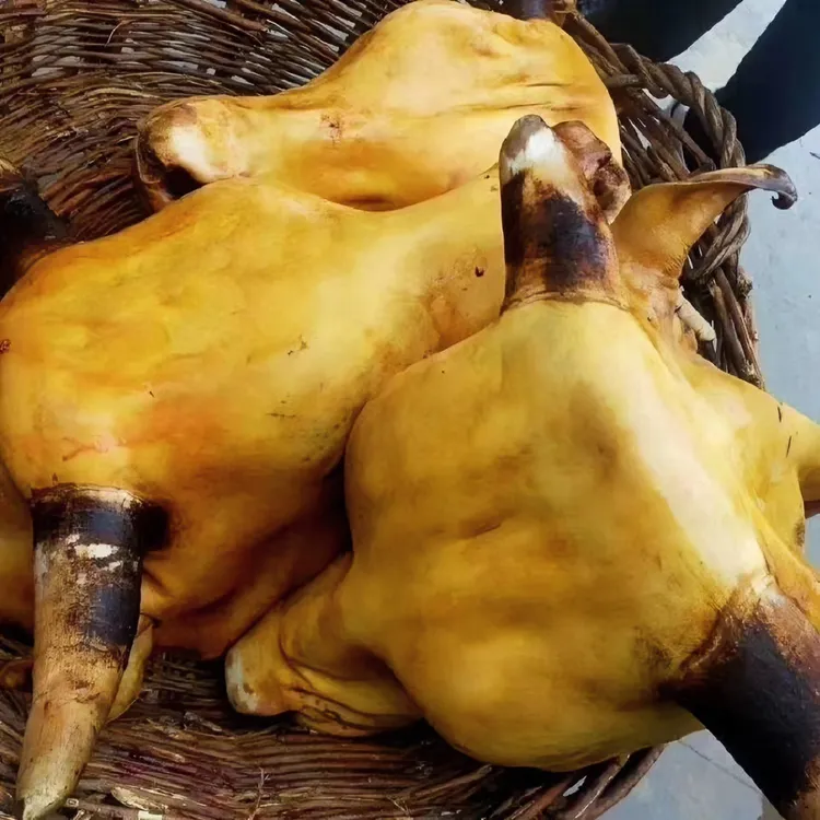 【新鲜牛头带舌头整个】土黄牛头牛排骨15斤到24斤包邮生鲜牛头肉