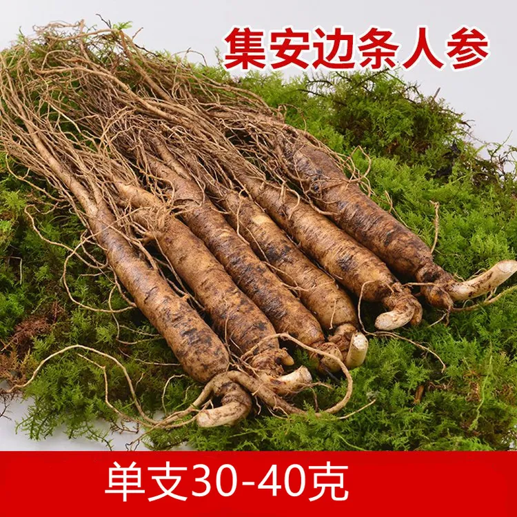 单支30-40克10支包邮长白山优质新鲜人参煲汤泡酒滋补新鲜人参