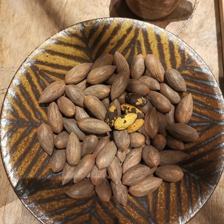 香榧带壳罐装手剥乐趣追剧休闲零食新年坚果聚会节日必备