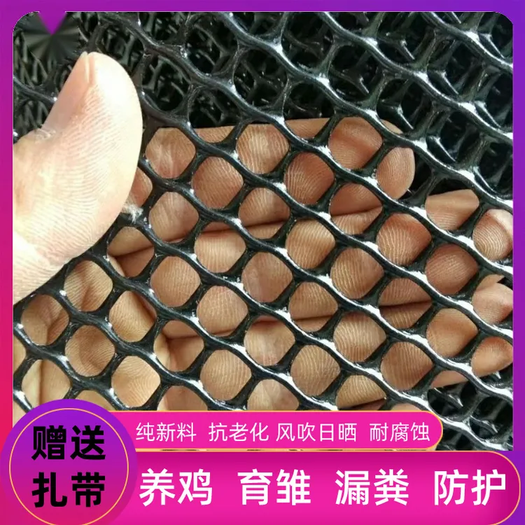 黑养殖塑料网鸽子笼专用地网鹅漏粪垫小鸡育雏网格网养鸡鸭鹅脚垫
