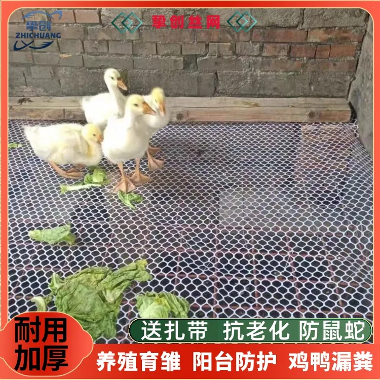 养殖育雏鸡鸭鹅漏粪塑料网鸽笼专用地网阳台防护鱼塘防坠网养殖网
