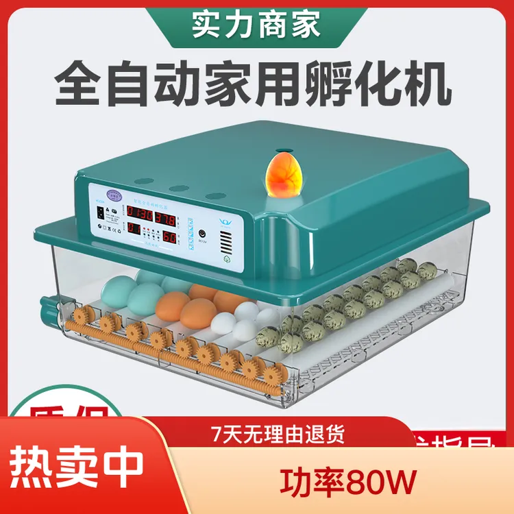 新伟达孵化器控温家用小型孵化箱高孵化率孵化鸡苗鸭鹅鸽芦丁鸡