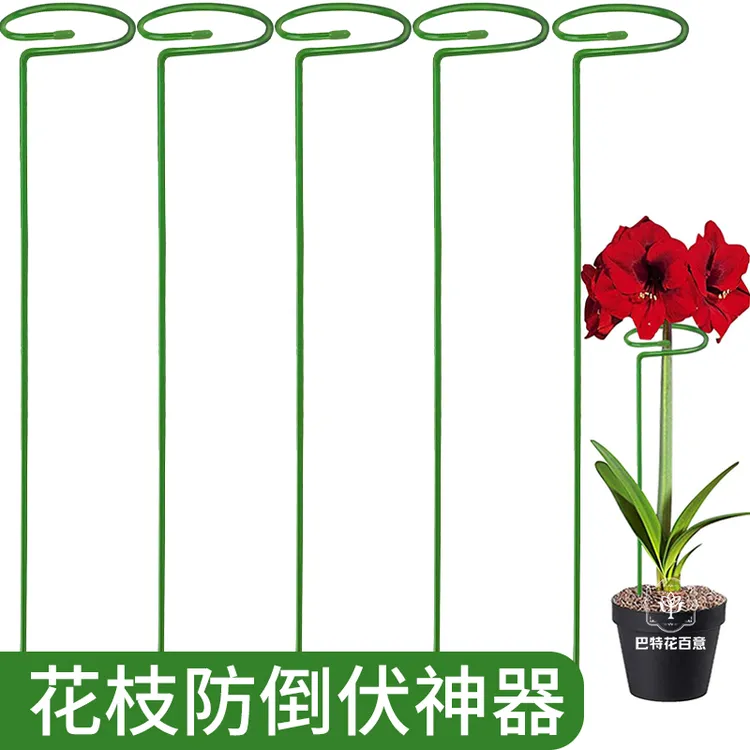 植物防倒伏支架铁艺绣球吊兰支撑杆园艺固定架爬藤花卉朱顶红花架