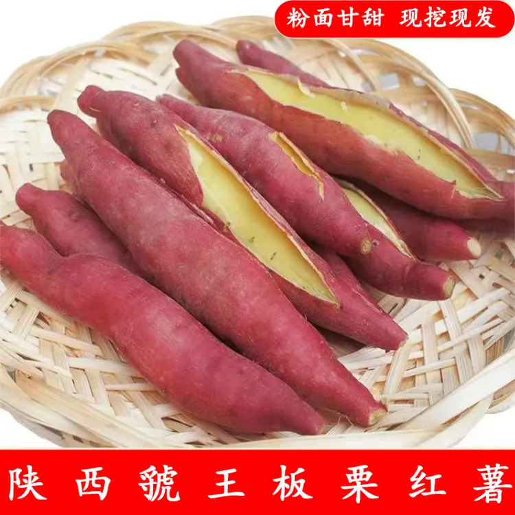 陕西正宗虢王板栗红薯粉糯香甜粗粮新鲜现挖地瓜红薯番薯软糯香甜