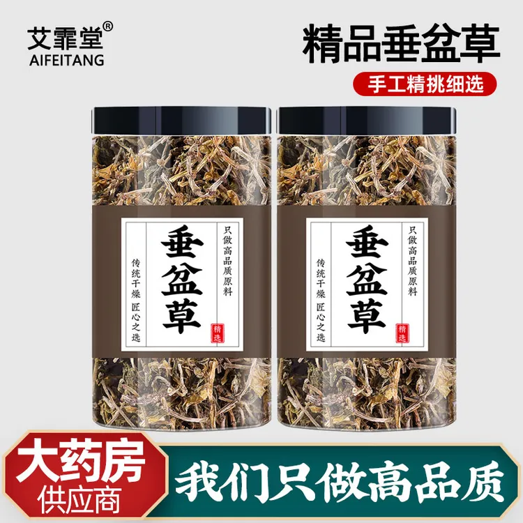 垂盆草中药材新鲜食用干货护正品肝泡水喝的功效非野生垂盆草茶