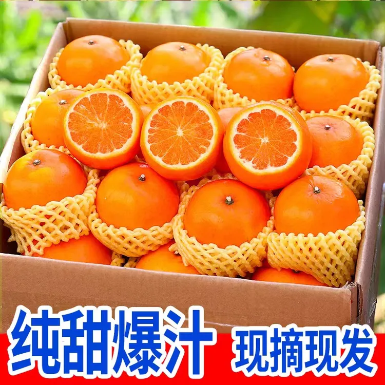 沃柑高山新鲜沃柑现摘薄皮纯甜品质大果整箱批发柑橘橙子10斤礼盒