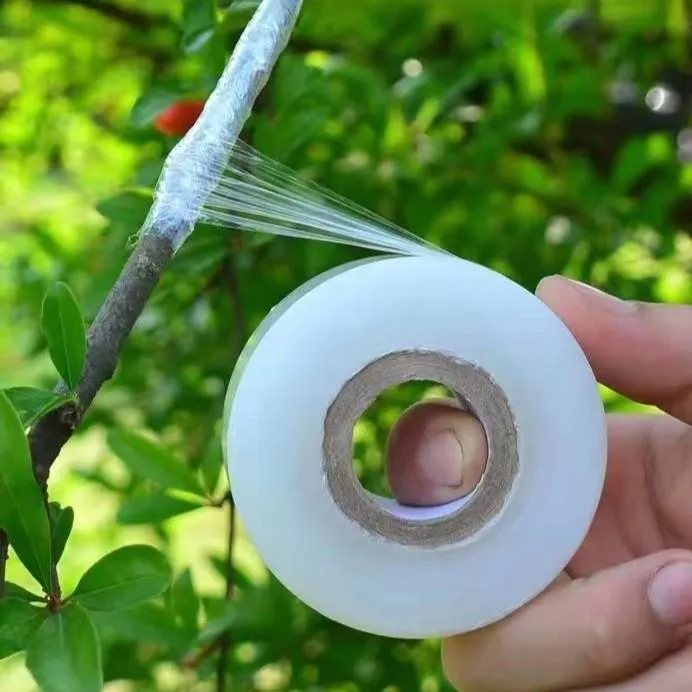 专业PE嫁接膜果树苗木专用膜缠绕膜自粘膜打包透明拉伸膜包扎薄膜