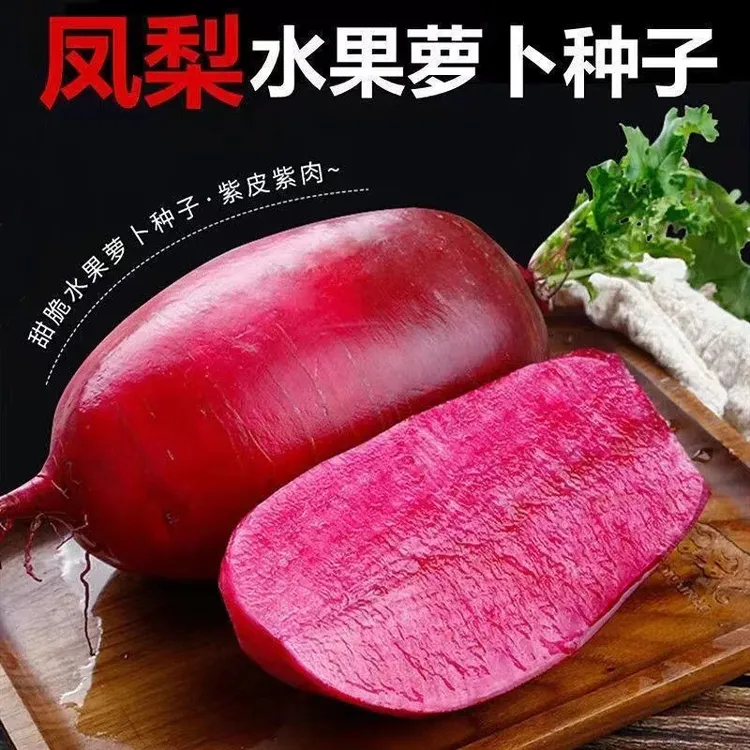 【凤梨萝卜种子】脆甜红皮红肉水果阳台盆栽可种青萝卜红萝卜种籽