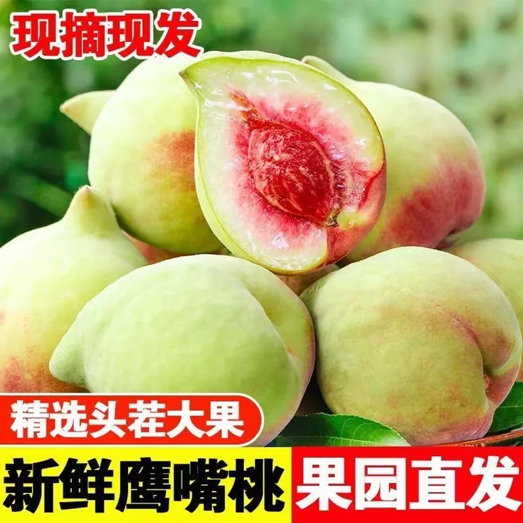 正宗广东连平上坪鹰嘴蜜桃爽口清甜饱满鹰嘴蜜桃清脆精选网红水果