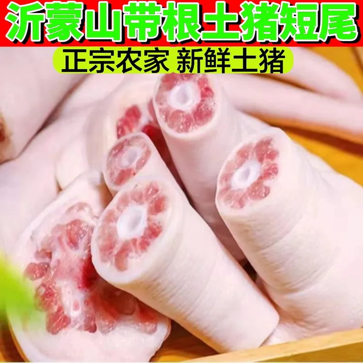 【活动价5斤】现杀猪尾巴新鲜速冻猪尾散养猪尾骨商用批发卤煮煲汤
