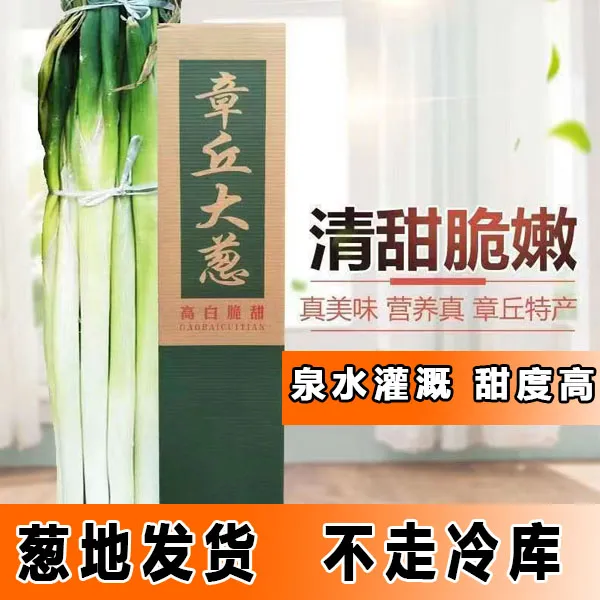 【章丘葱农直销】正宗章丘原产大葱 现刨现发 新鲜9斤装