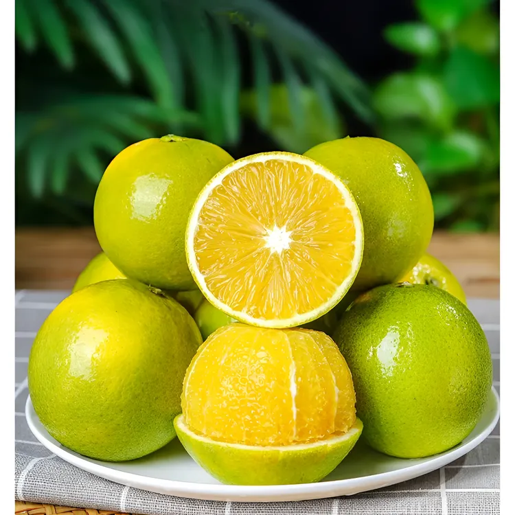 云南哀牢山正宗冰糖橙新鲜当季皮薄纯甜多汁坏果包赔新鲜水果