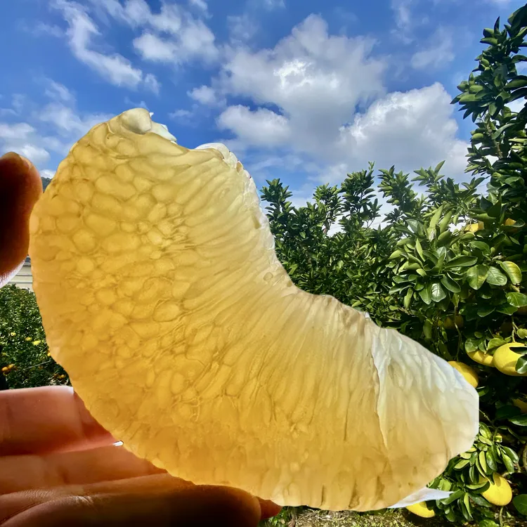 【玉环文旦柚】现摘现发坏果包赔新人尝鲜价好吃再回购2.5-20斤