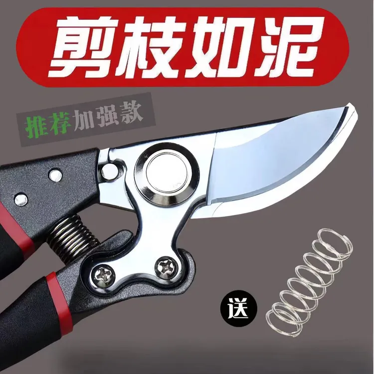 【送弹簧】园艺修枝剪果树剪园林多功能粗枝剪树枝用剪花修枝剪果剪