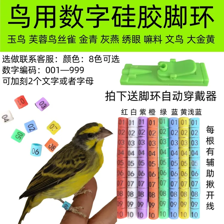 鸟用硅胶软脚环足环识别记号环玉鸟丝雀金青灰燕大金黄麻料绣眼