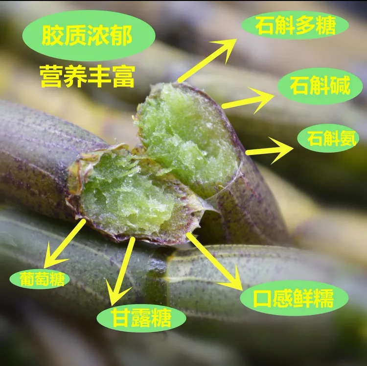 云南德宏芒市石斛鲜条榨汁煲汤即开售