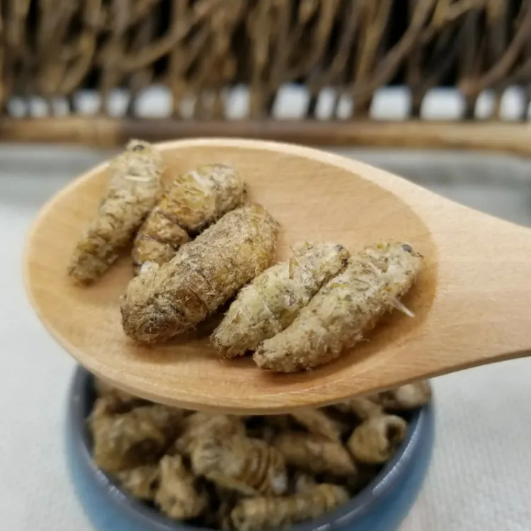 【速冻蚕蛾】东北潲蚕蛾雄蚕蛾潲完籽母蚕蛾满籽蛾100g起