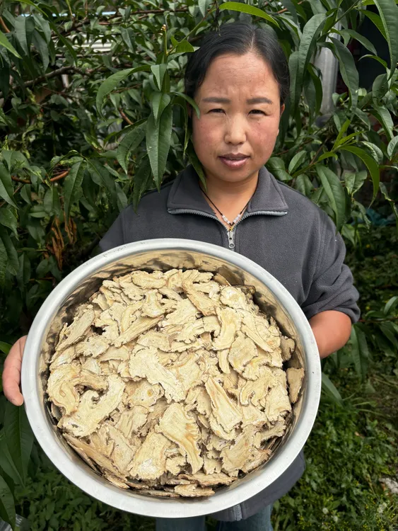甘肃岷县精选当归头片（大片）