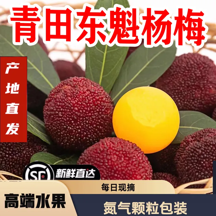 顺丰冷链浙江青田大棚乒乓球特大东魁杨梅25-32g现摘现发新鲜水果