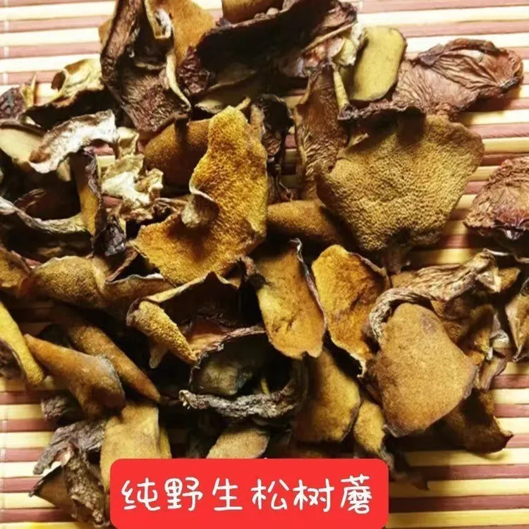 野生松蘑(粘团子)