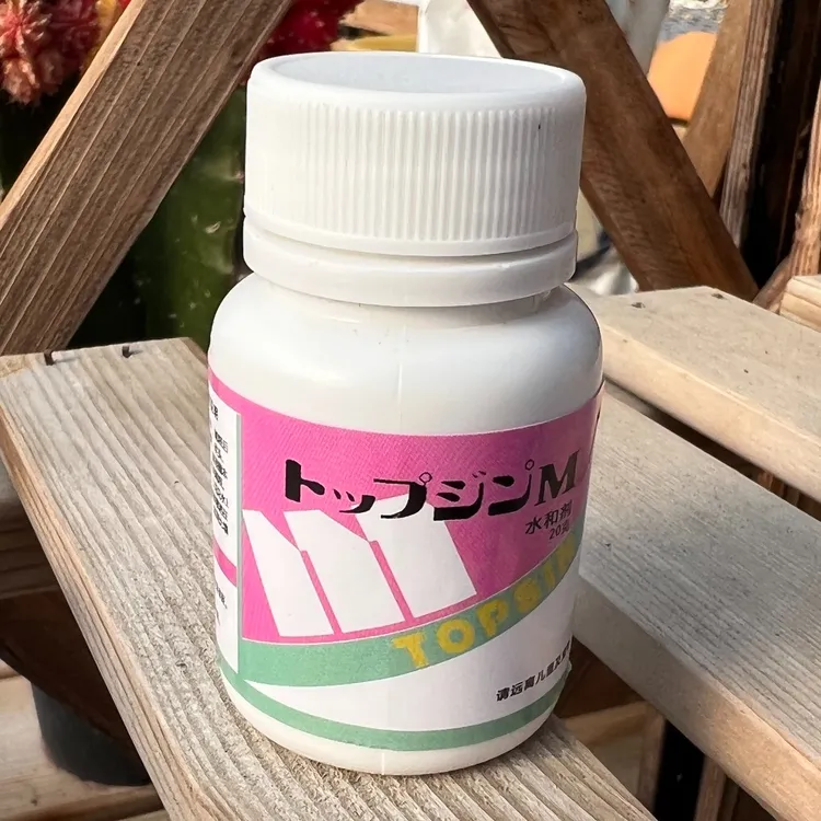 屁姐真土曹达(随单发)多肉植物肉肉专用多种简单很好普通