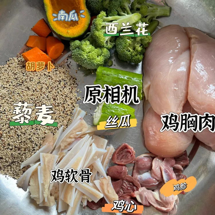 鸡肉藜麦果蔬餐包灭菌鲜食日常加餐宠物零食