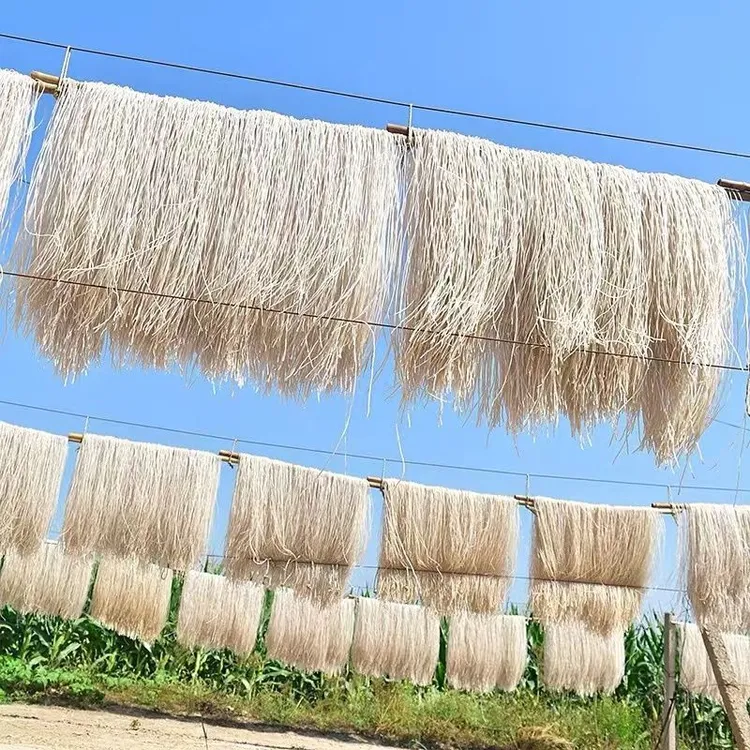 山东粉条.红薯粉条5斤装